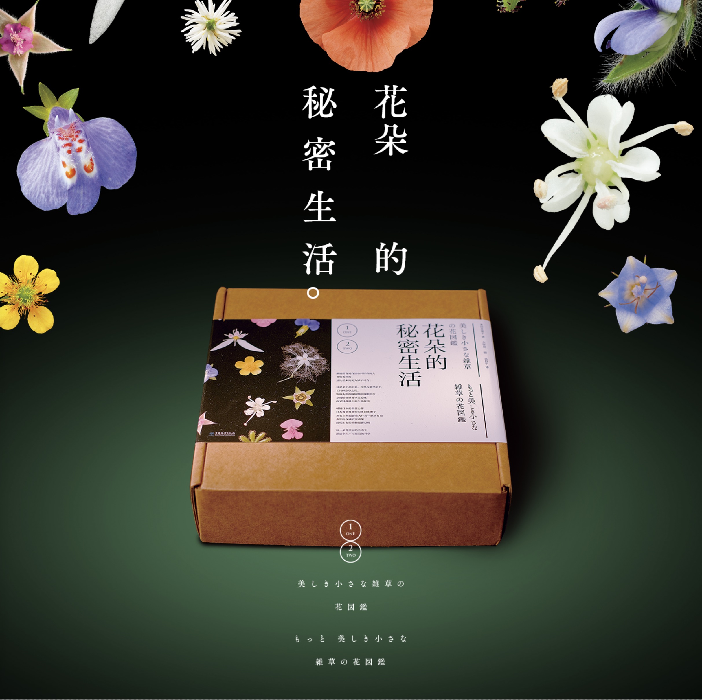 花朵的秘密生活2407/2408