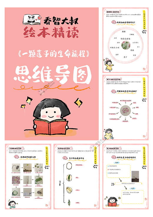 《一颗莲子的生命旅程》绘本精读素材PDF ｜乔智大叔手绘 商品图2