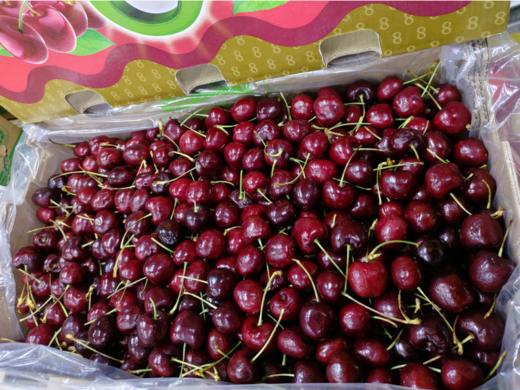 智利黑车厘子二斤 商品图1