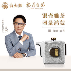 白大师银壶天方泡茶壶四方壶足银999茶壶煮茶福鼎白茶容量130ml