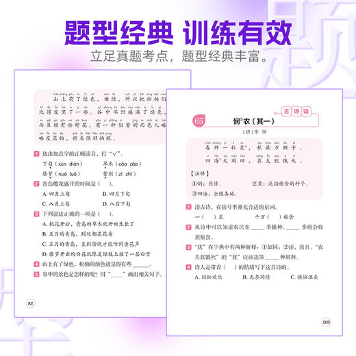100篇小学语文阅读训练 2年级 全国通用 1～6年级强化专项训练 阅读理解 阶梯训练 真题训练(上海元远教育) 商品图4