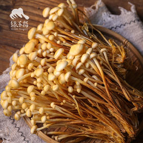 有机黄色金针菇 | 绿家自产 *ecological mushroom | Self-production