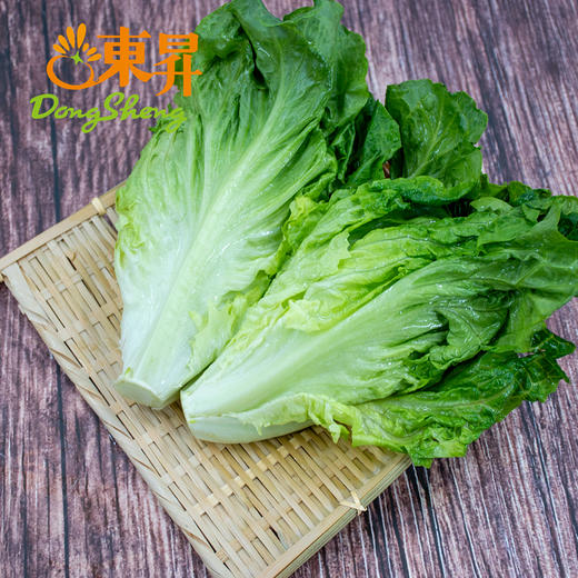 【超市】东升生菜 商品图0