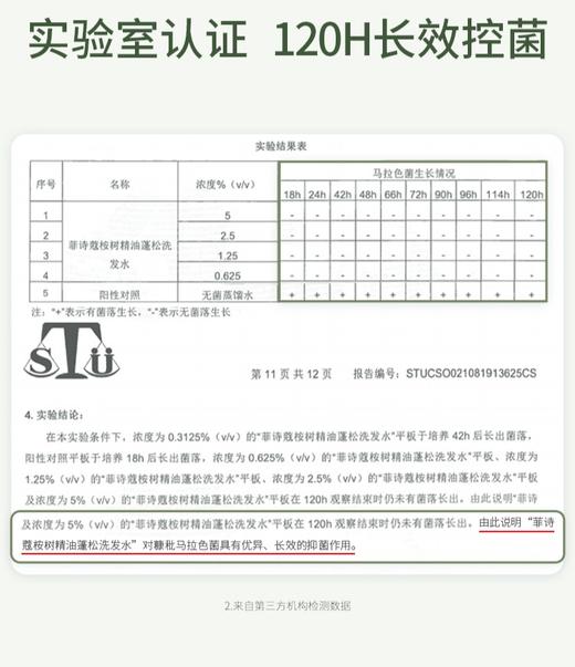 【桉树 · 去屑】FicceCode桉树洗发水300ml 桉树发膜 去屑净爽120H控菌 商品图2