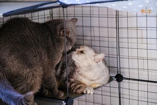 抚顺慢姑娘聚贤山庄别墅轰趴 商品图9