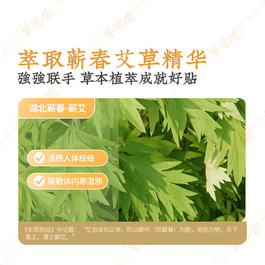 【益品良食】姜桂艾草温灸贴丨g 10贴/盒| 灸贴暖护 与艾随行 商品图3