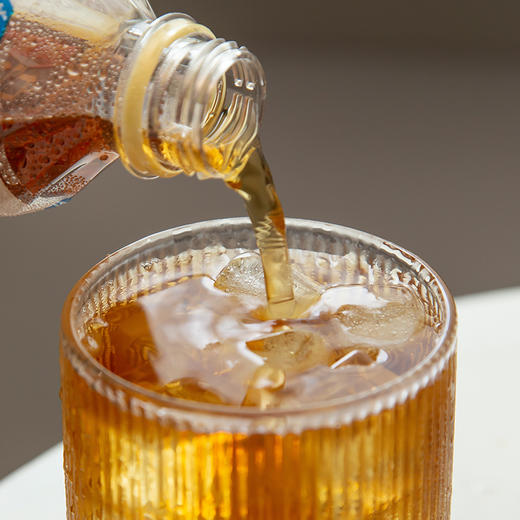 麟珑茶室 乌龙茶整箱 500ml*15 商品图1