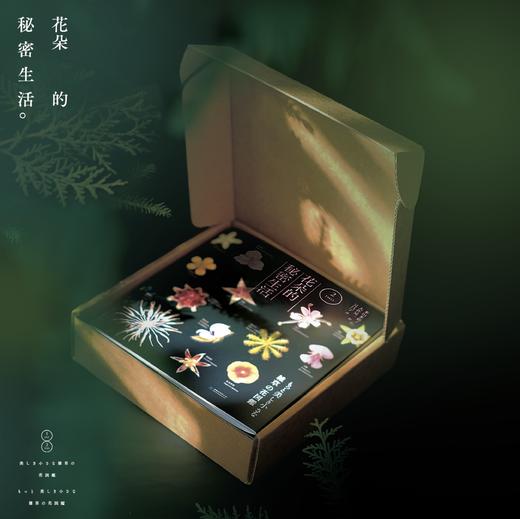 花朵的秘密生活2407/2408 商品图2