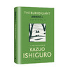 被掩埋的巨人 石黑一雄彩虹布面系列作品 商品缩略图0