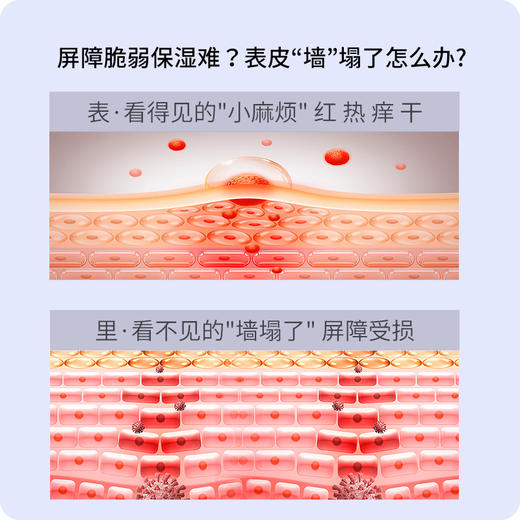 【活动专属】神琦玻尿酸水光润透面膜 商品图4