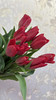 【国产郁金香】红色  约10枝/扎（实际颜色以实物为准） 商品缩略图7