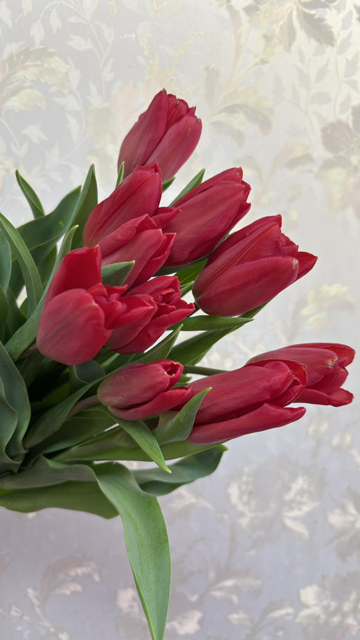 【国产郁金香】红色  约10枝/扎（实际颜色以实物为准） 商品图7