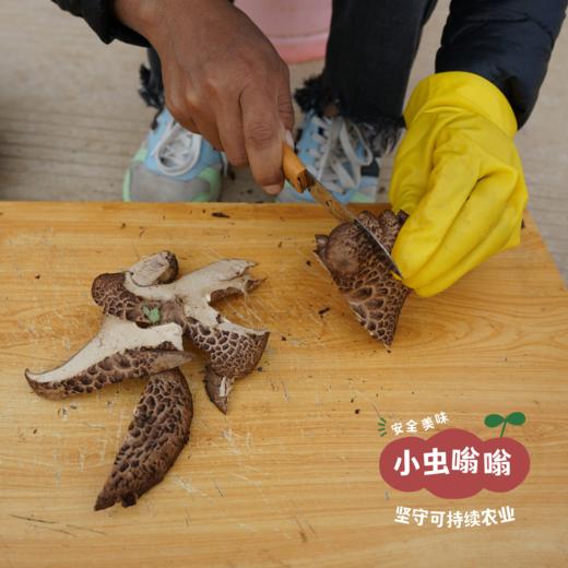 高原野生黑虎掌菌 50g | 合作农友生产，产自四川甘孜雪山高原，生产者：李建程 &【公平贸易农人定价】 商品图7