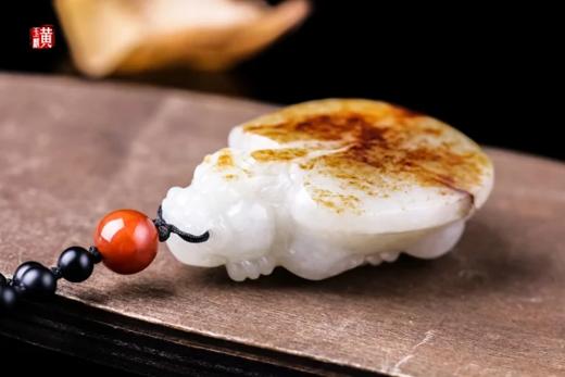 和田玉籽料【龙龟】吊坠 配精美编织挂绳 商品图1