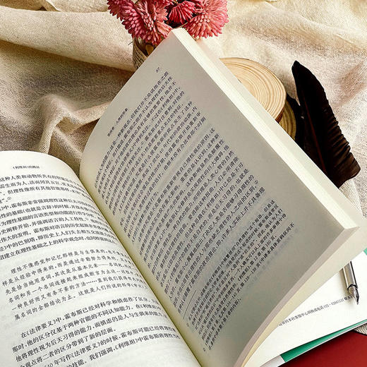 《利维坦》的修辞 霍布斯与文化转型的政治学 欧诺弥亚译丛 商品图9