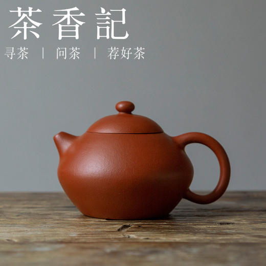茶香记 紫砂壶 曹永忠 朱泥文旦壶 转折圆润 刚柔相济 聚热留香 商品图0