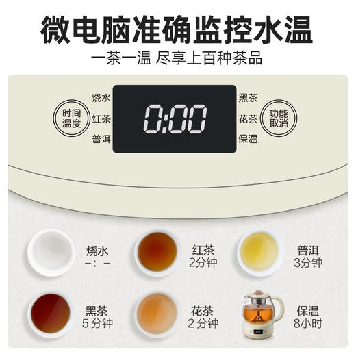 小熊（Bear）煮茶器全自动蒸汽黑茶普洱办公室保温煮茶壶迷你玻璃电热水壶【不支持补差，非质量问题不退不换】S 商品图5