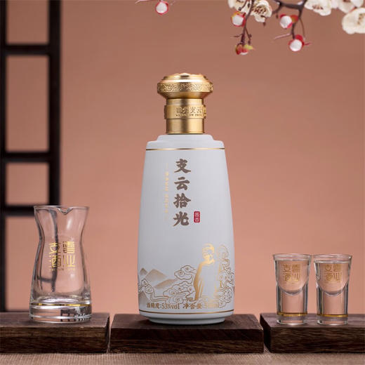 张支云 支云万象 支云拾光酱香型白酒53度500mL单瓶装 商品图5