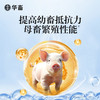 华畜兽用维生素D3可溶性产后瘫痪佝偻病软骨软壳蛋禽鸡猪牛羊腿疼 商品缩略图4