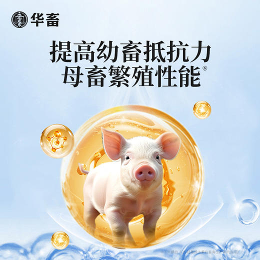 华畜兽用维生素D3可溶性产后瘫痪佝偻病软骨软壳蛋禽鸡猪牛羊腿疼 商品图4