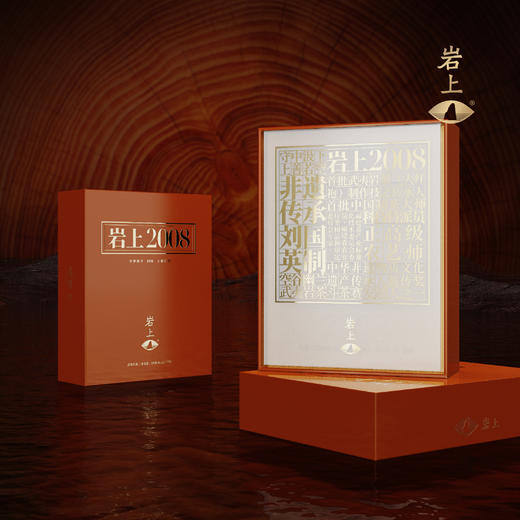 岩上 | 珍我·岩上2008老茶 | 68g（8.5gx8泡） 商品图4