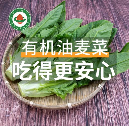 【超市】东升油麦菜 商品图0