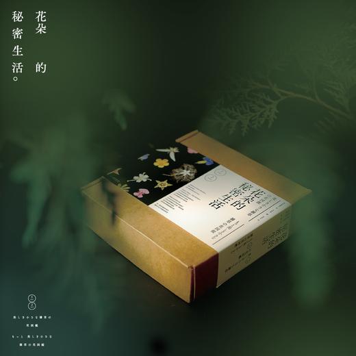 花朵的秘密生活2407/2408 商品图1