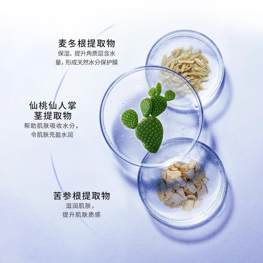 【活动专属】神琦玻尿酸水光润透面膜 商品图6