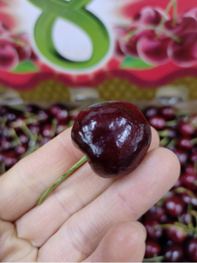 智利黑车厘子二斤