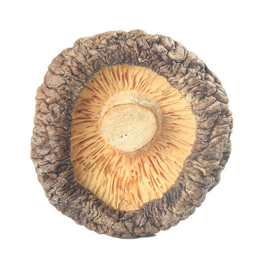 天生好果香菇118克×2包 商品图7