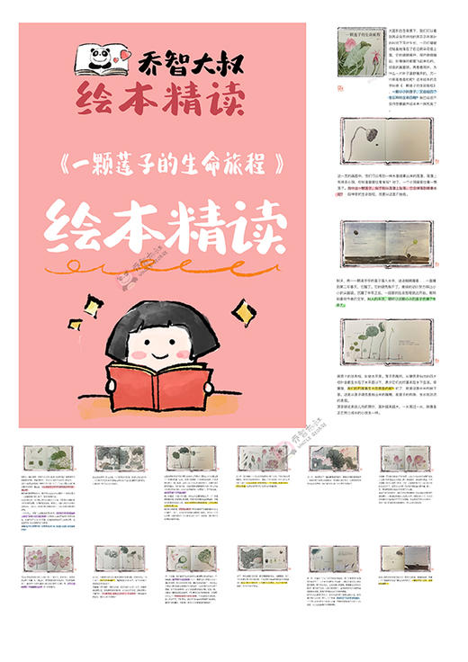《一颗莲子的生命旅程》绘本精读素材PDF ｜乔智大叔手绘 商品图1