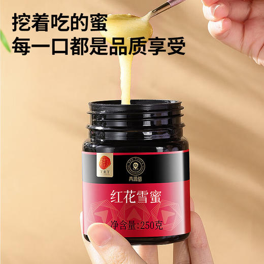【正宗同仁堂品牌】北京同仁堂 青源堂 蜂蜜 红花雪蜜500克礼盒（250*2） 纯蜂蜜 口感细腻 低温结晶SY 商品图6