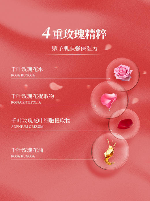 【全新升级版拍二发三】安茹千叶玫瑰精粹面霜/50g 水润细腻丝滑，抵御氧化！ 商品图3