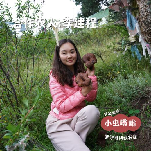 高原野生黑虎掌菌 50g | 合作农友生产，产自四川甘孜雪山高原，生产者：李建程 &【公平贸易农人定价】 商品图4