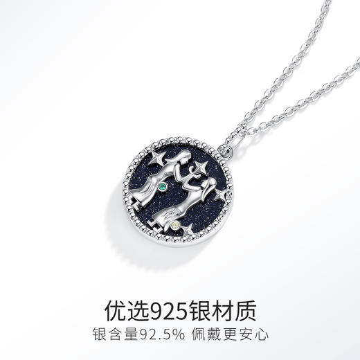 Winy925纯银十二星座系列项链送女友闺蜜节日生日礼物 商品图2