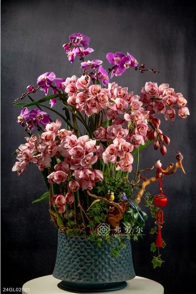 24GL02001 商品图0