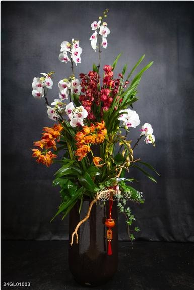 24GL01003 商品图0