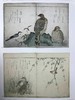 拉微奇收藏日本图画书图集 124幅插图（79幅彩色） 精装大16开 商品缩略图9