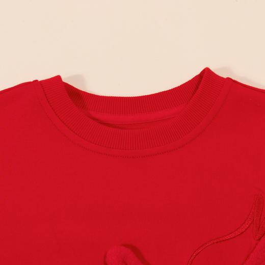 贝贝怡男童卫衣套装2024春季休闲运动两件套ZB1DT015 商品图3