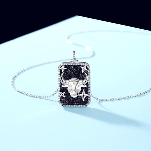 Winy925纯银十二星座系列项链送女友闺蜜节日生日礼物 商品图0