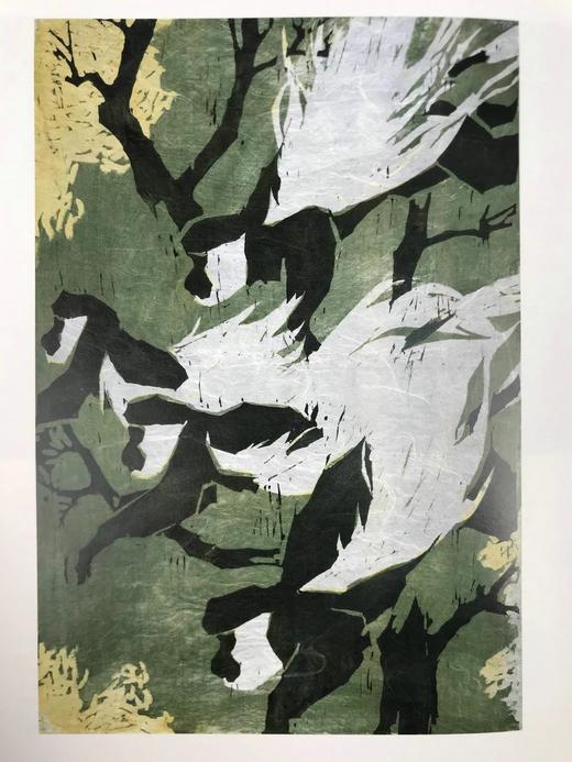 现代野生动物绘画 140余幅彩色插图 精装大16开 商品图6