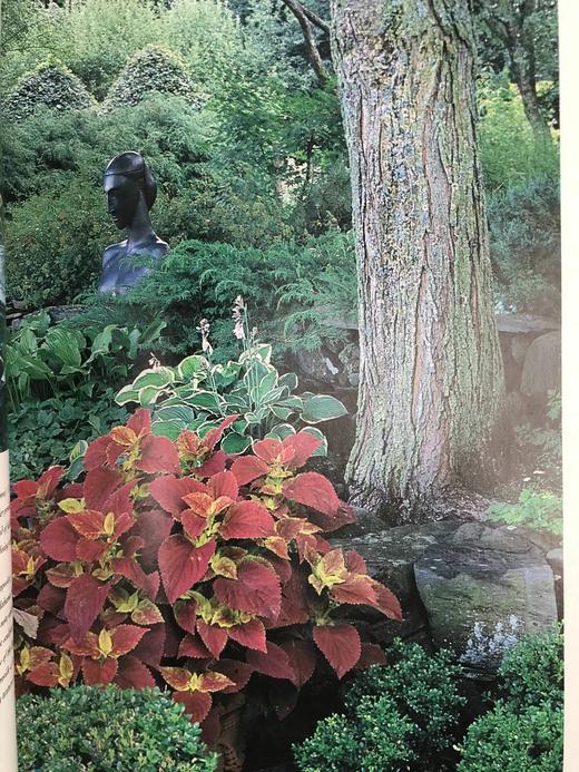 私密花园：我们花园的二十个四季 200幅彩色插图 精装16开 商品图8