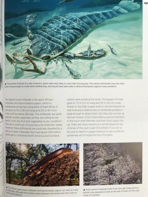 大自然的巨人：世界大型生命体的生物学与进化 数百幅彩色插图 精装16开 商品图8