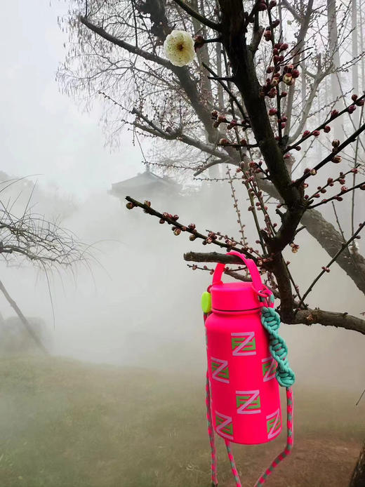 芳姐同款保温杯650毫升 商品图9