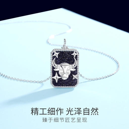 Winy925纯银十二星座系列项链送女友闺蜜节日生日礼物 商品图4