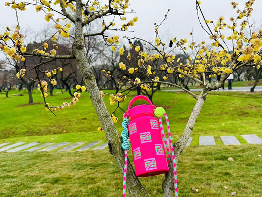 芳姐同款保温杯650毫升 商品图4