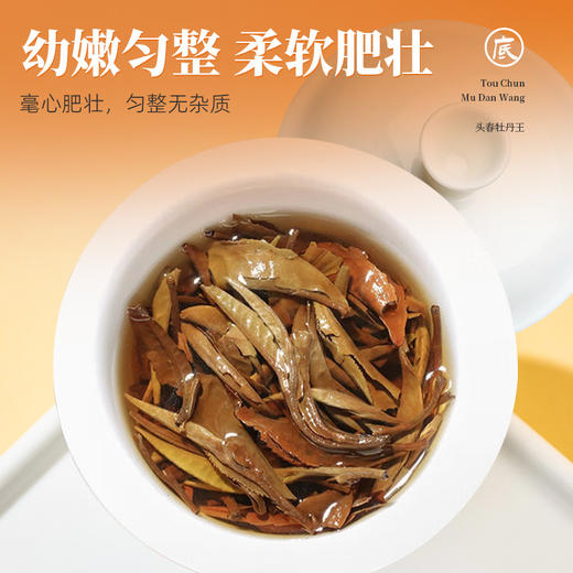 茶马世家牡丹王白茶饼2018年明前头采春茶老白茶高山花香白牡丹送德化白瓷专用盖碗 商品图6