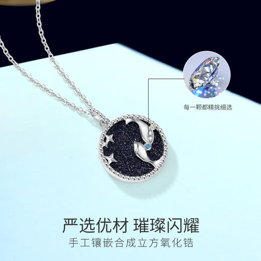 Winy925纯银十二星座系列项链送女友闺蜜节日生日礼物 商品图3