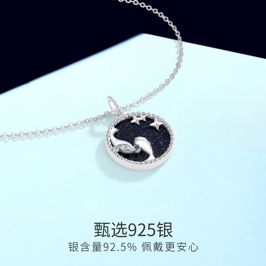 Winy925纯银十二星座系列项链送女友闺蜜节日生日礼物 商品图2