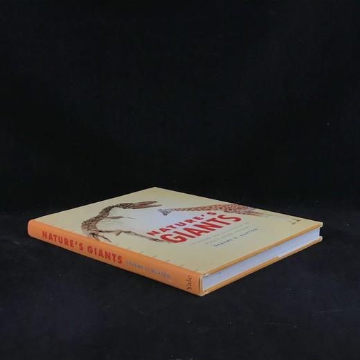 大自然的巨人：世界大型生命体的生物学与进化 数百幅彩色插图 精装16开 商品图1